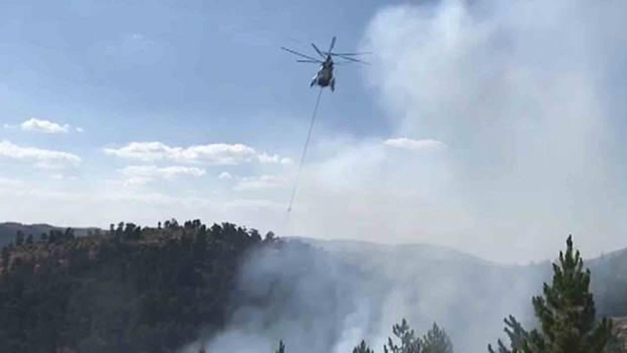 Ormanlık alanda çıkan yangında 2 hektarlık alan zarar gördü