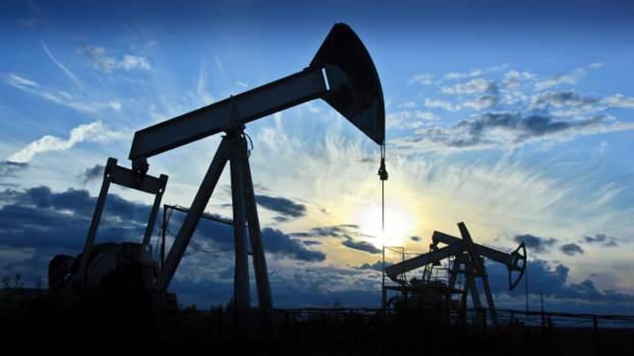 Brent petrolün varili 45,71 dolar