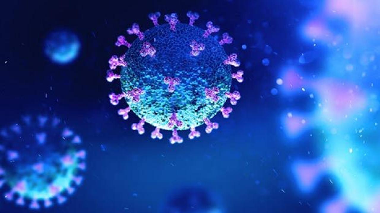 Yeni pandemi korkusu: Domuzdan insana geçebilen bir virüs tespit edildi