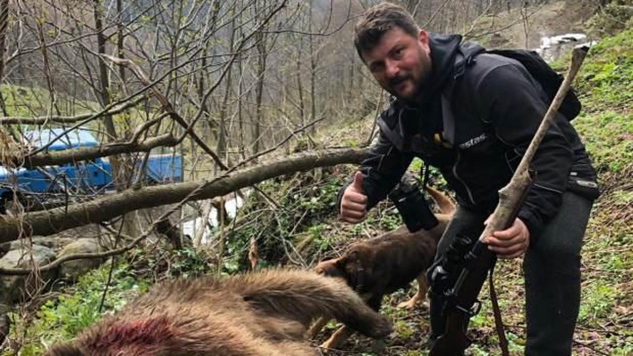 Artvin'de yavru ayıyı vurdular: Tepki çeken olayda son dakika gelişmesi