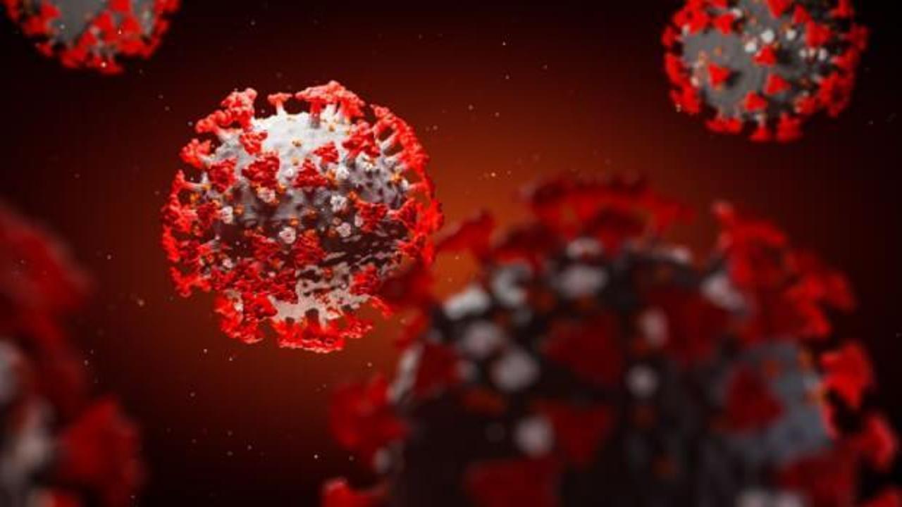 Koronavirüs iddiası: Yıllarca pusuda bekledi
