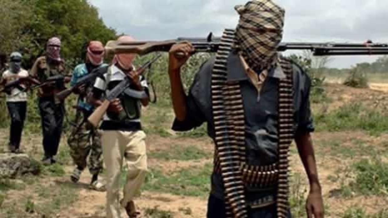Nijerya'da geçen hafta 196 Boko Haram ve silahlı çete üyesi öldürüldü