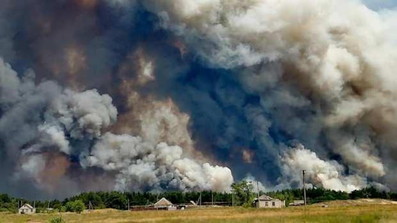 Ukrayna'da orman yangını: 4 ölü