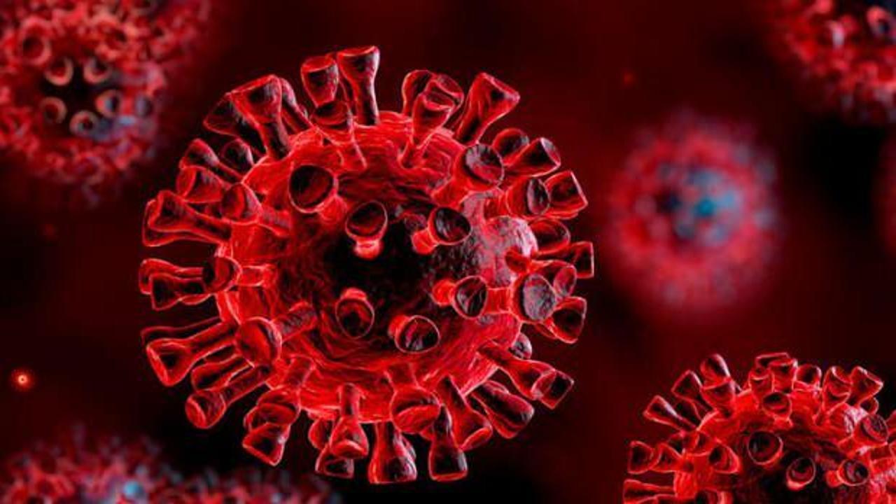Koronavirüste son dakika gelişmesi: Dünya şaşkın