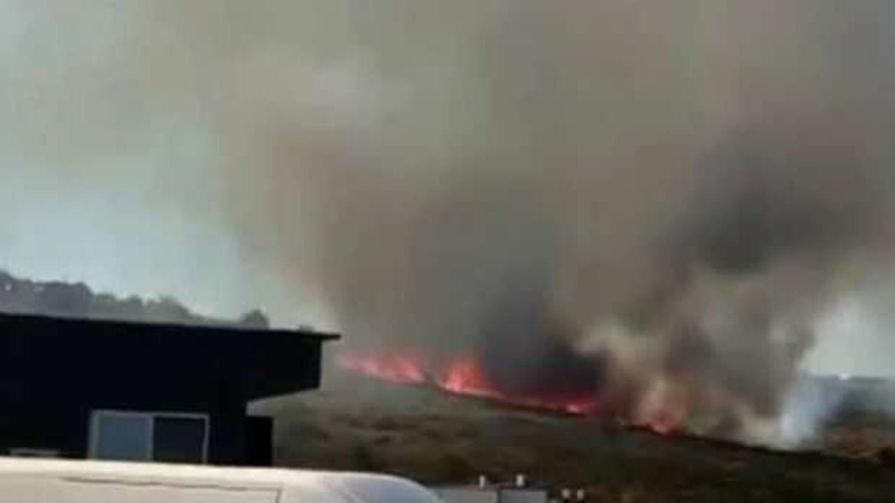 Bakan Pakdemirli: Alaçatı'daki orman yangını kontrol altına alındı