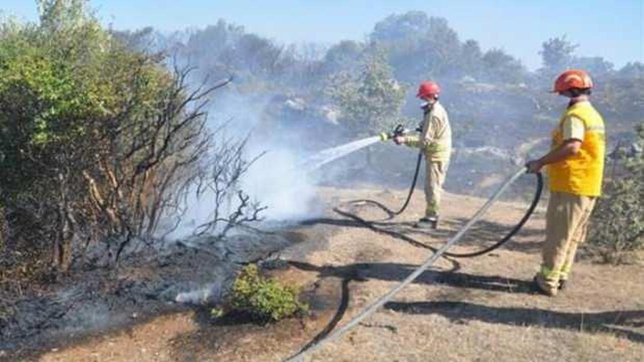 Çanakkale'de yangın: 2 hektar alan zarar gördü