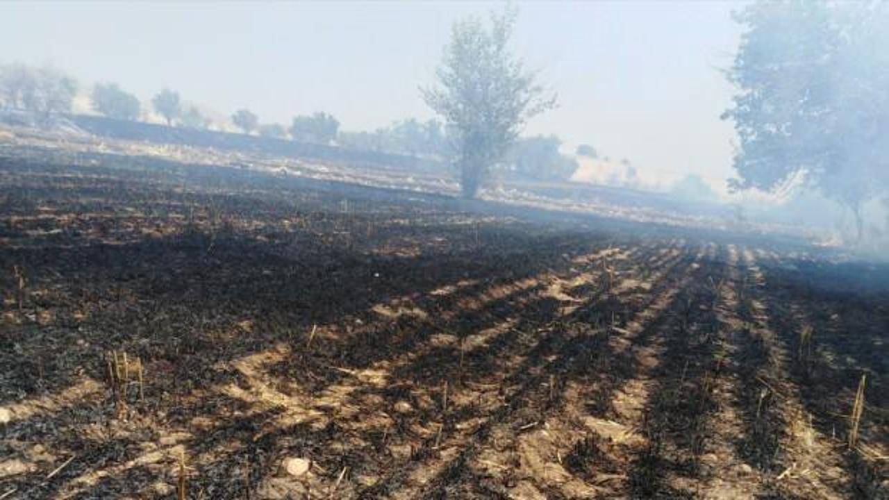 Elektrik akımına kapılan karganın neden olduğu yangında 70 dönüm arazi yandı