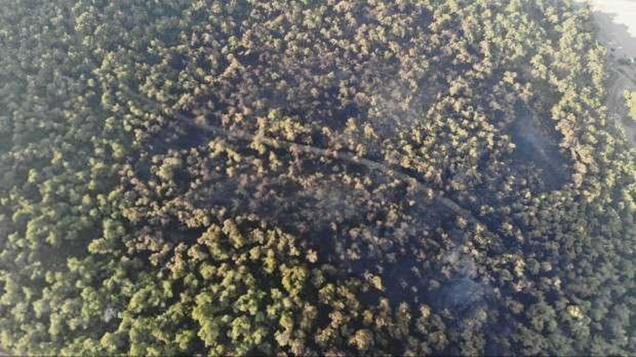 Heybeliada'da yanan ormanlık alan havadan görüntülendi