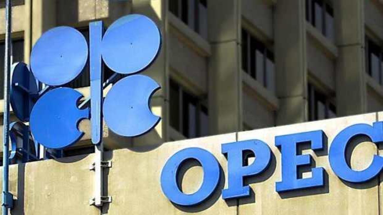 OPEC'in payı düşüşte
