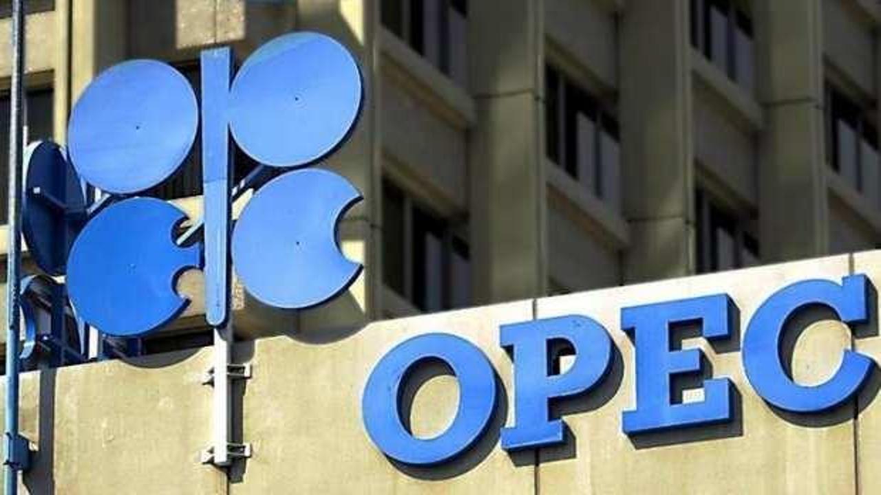 OPEC'in petrol üretimi 2019'da yüzde 6 düştü