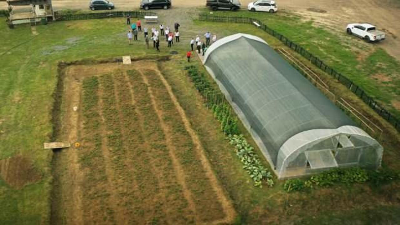 Zonguldak'ta Ata Tohumu Projesinde ilk hasat yapıldı