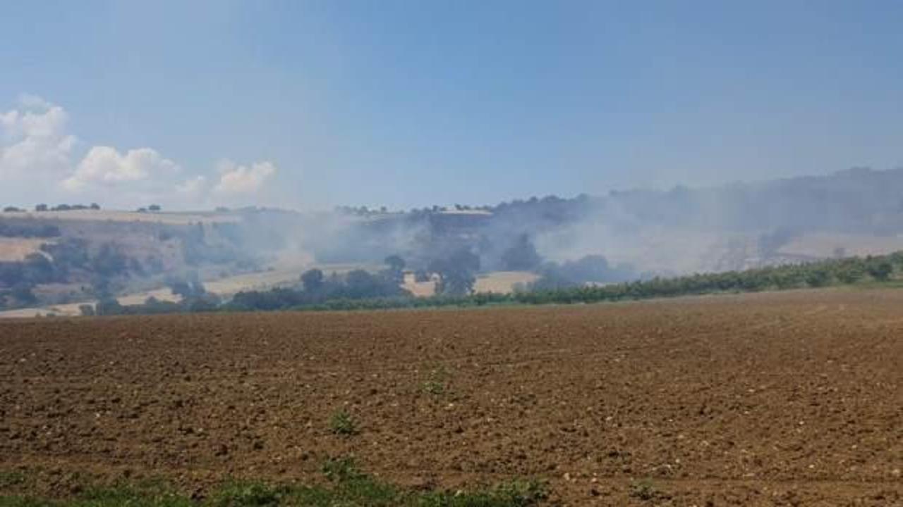 Son dakika: Çanakkale'de orman yangını! Bakan Pakdemirli'den açıklama
