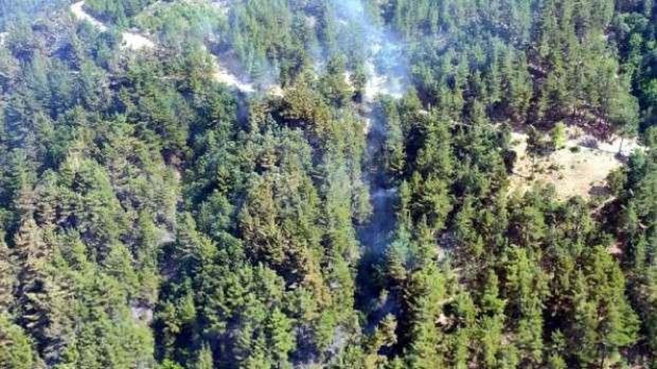 Kahramanmaraş'ta 1 hektar ormanlık alan yandı