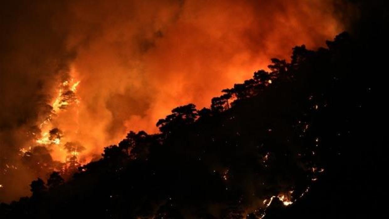 Manisa'daki orman yangını kontrol altına alındı