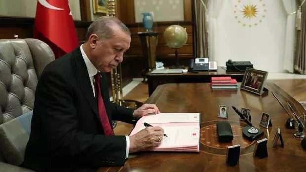 Açıköğretim Psikoloji programı için hazırlanan rapor Erdoğan'a sunuldu