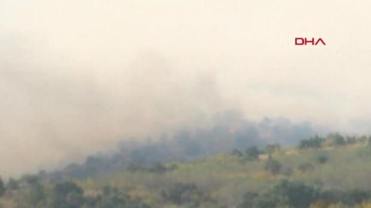 Bulgaristan sınırında korkutan yangın