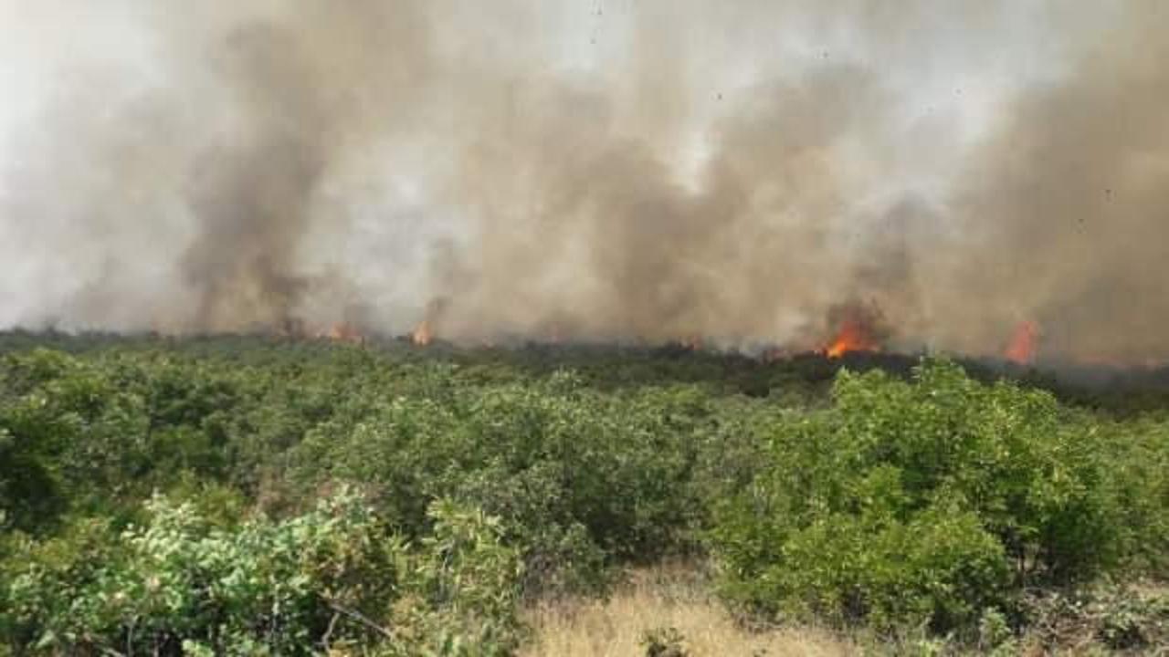 Elazığ’daki orman yangını kontrol altına alındı