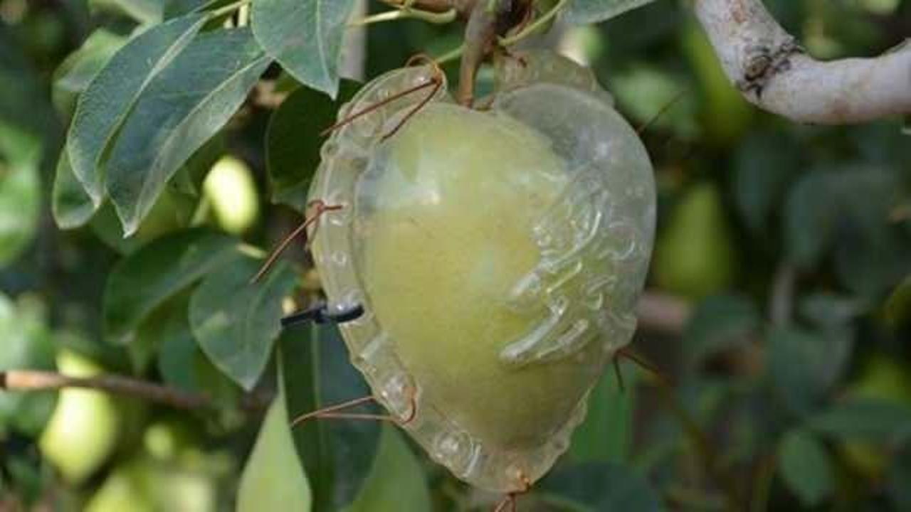 G&ouml;ren d&ouml;n&uuml;p bir kez daha bakıyor! Kalp şeklinde