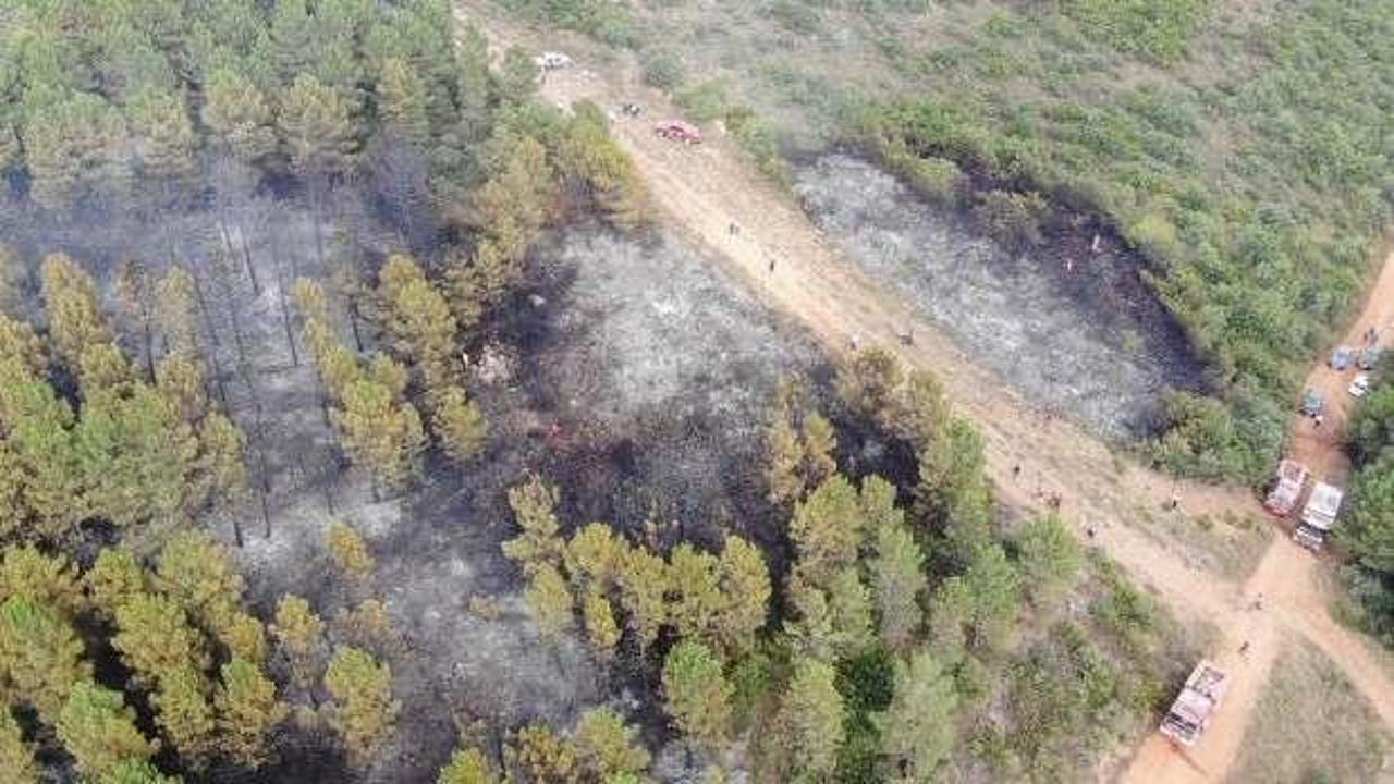 İstanbul'da Aydos Ormanı'nda çıkan yangın kontrol altına alındı