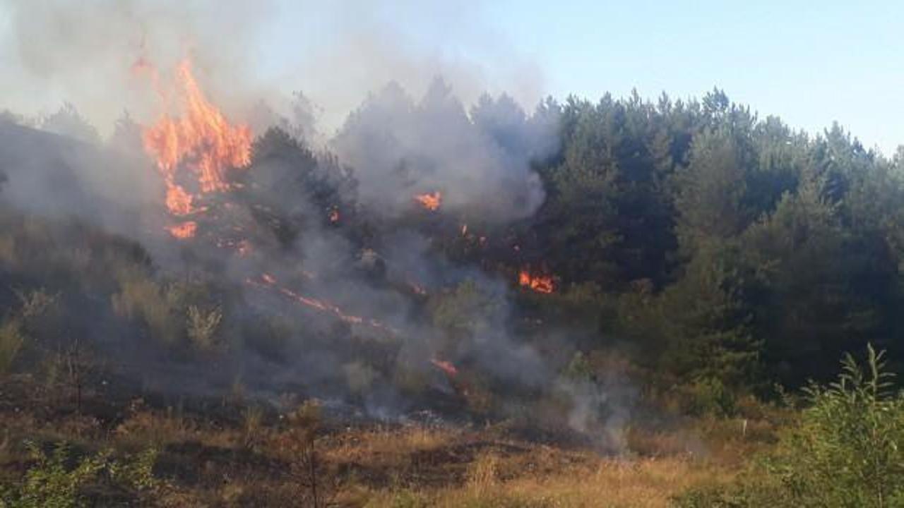 Kastamonu'da ormanlık alanda çıkan yangın, rüzgar nedeniyle kontrol altına alınamıyor