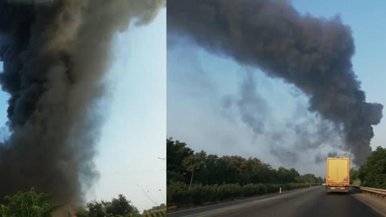 Manisa'da mobilya fabrikasında korkutan yangın
