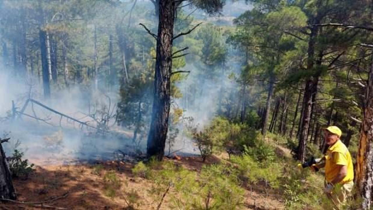 Kütahya'daki 6 orman yangınının 5'i yıldırımdan çıktı