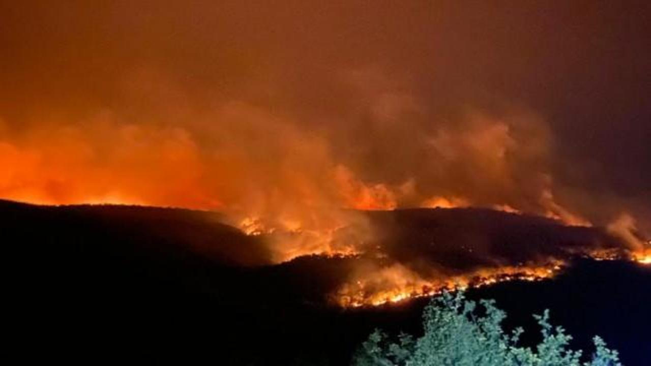 Bulgaristan'daki orman yangını Türkiye sınırına ulaştı