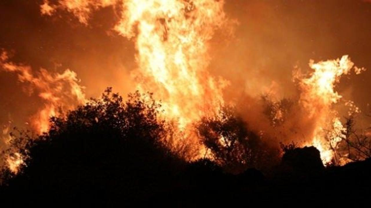 İzmir'de Çeşme'de korkutan yangın: 4 site boşaltıldı