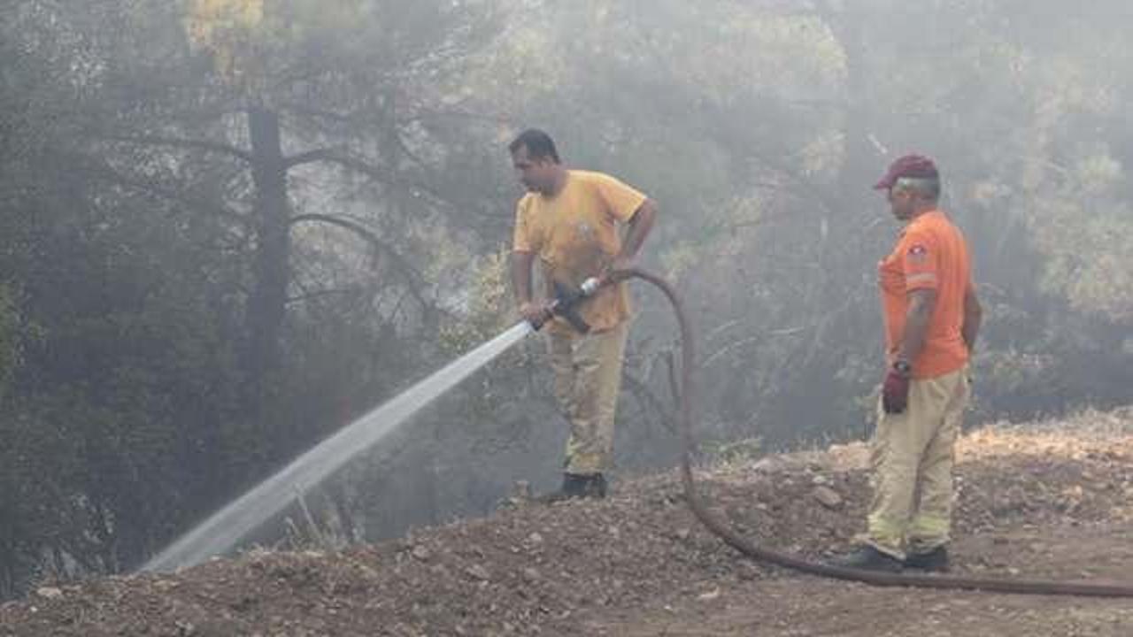 Menderes'teki orman yangınıyla ilgili bir kişi tutuklandı