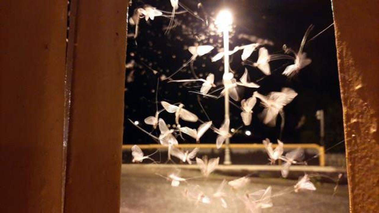 30 dakika dans edip &ouml;l&uuml;me u&ccedil;tular