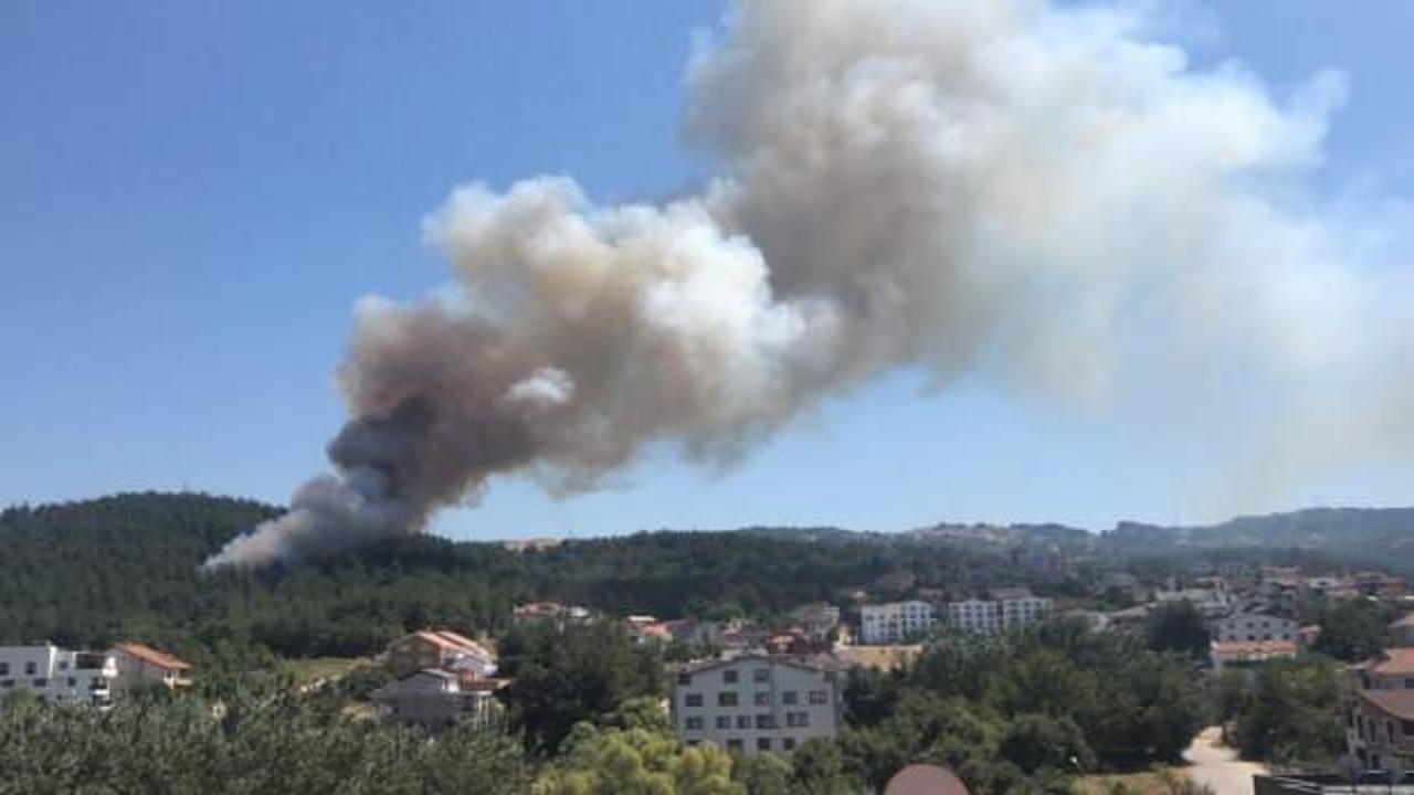 Bursa Nilüfer'de orman yangını