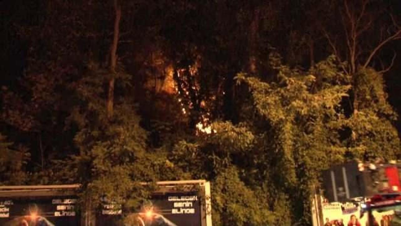 Emirgan Korusu&rsquo;ndaki yangının nedeni belli oldu