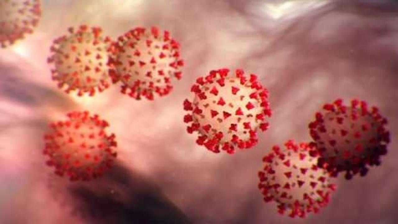 Koronavirüs salgınında mutasyon müjdesi: Olumlu geçirmiş olabilir