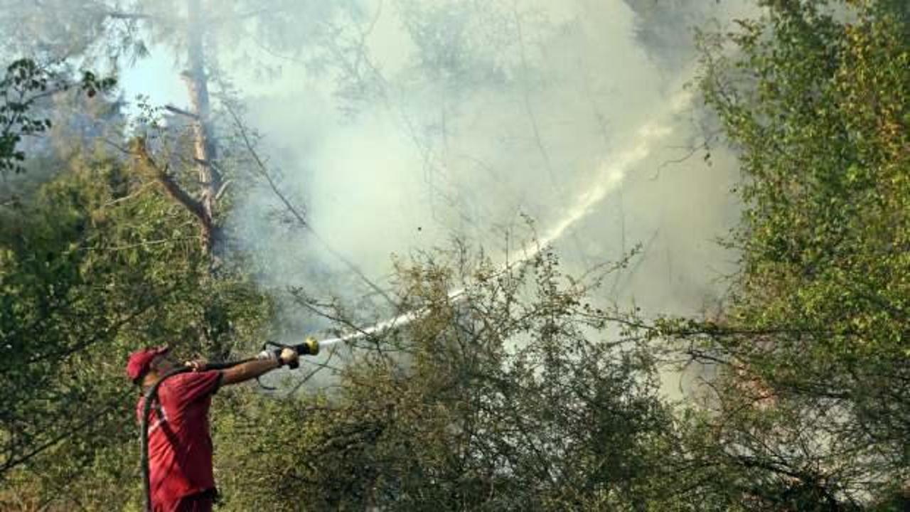 Serik'teki orman yangını 4,5 saat sonra kontrol altına alındı