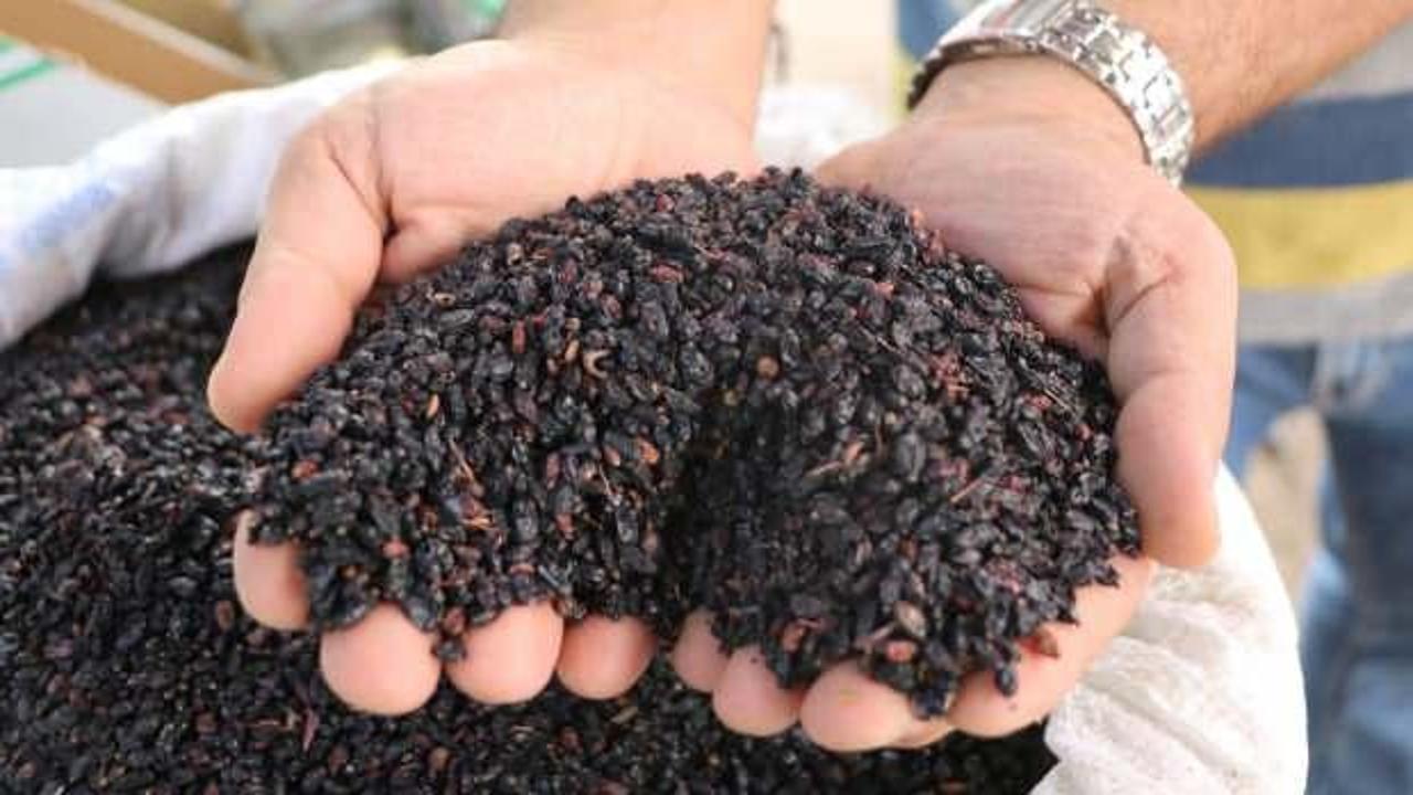 Toplaması saatler alıyor, faydası ise saymakla bitmiyor