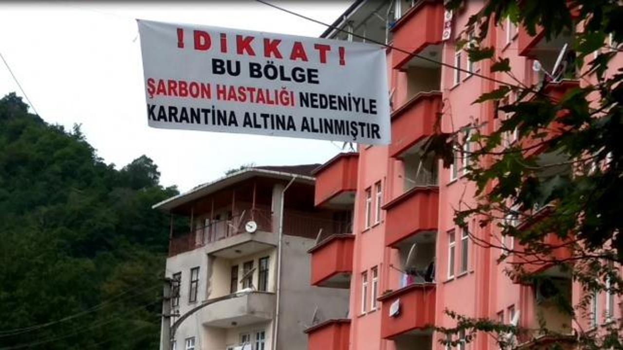 Trabzon'da şarbon karantinası