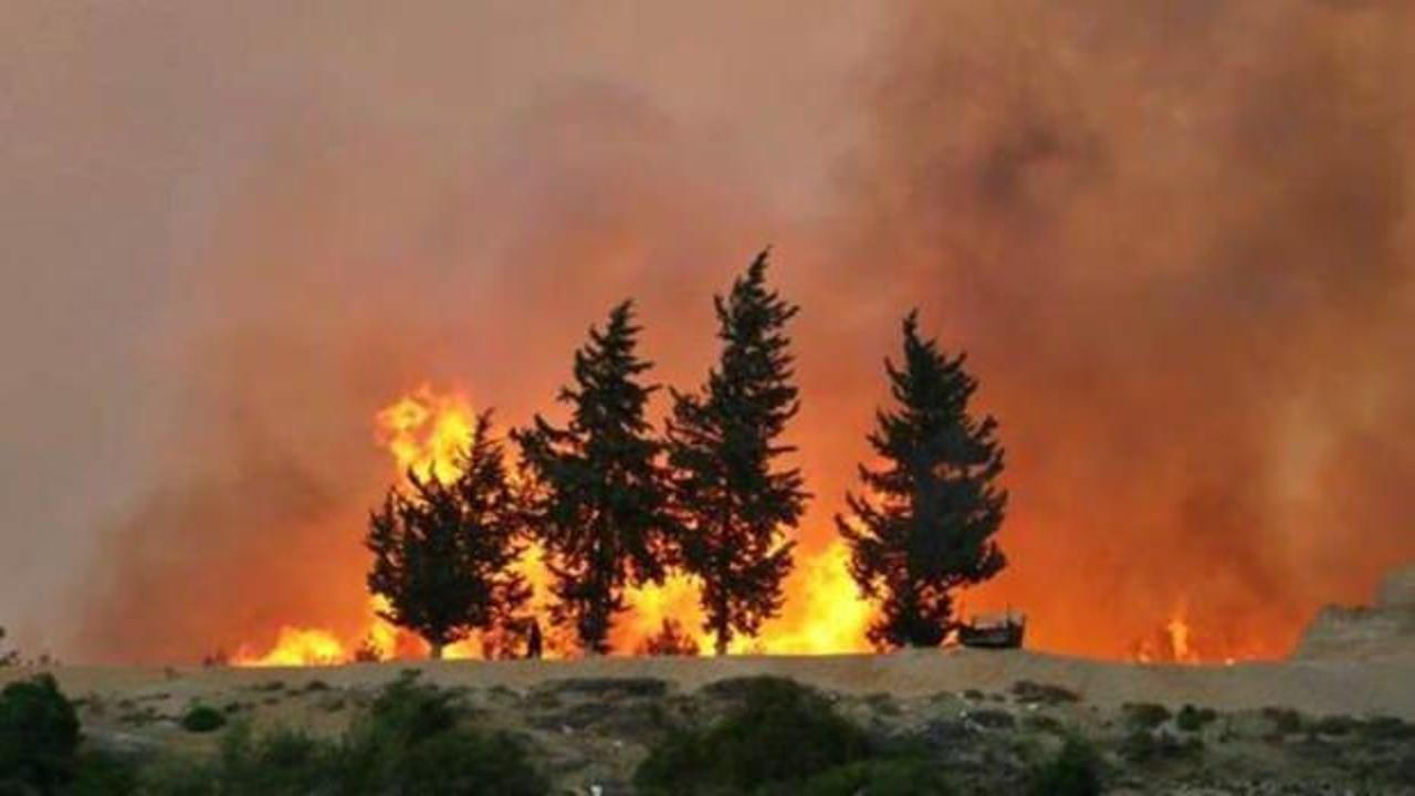 Adana'daki orman yangınına havadan m&uuml;dahale tekrar başladı