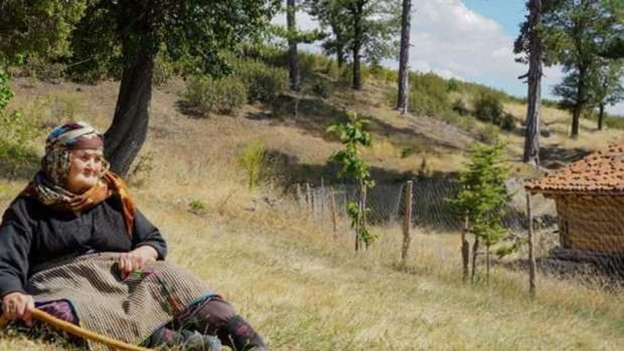 Firdevs ninenin g&ouml;zyaşı d&ouml;kt&uuml;ğ&uuml; yanmış ağa&ccedil;ların yerinde fidanlar yeşeriyor