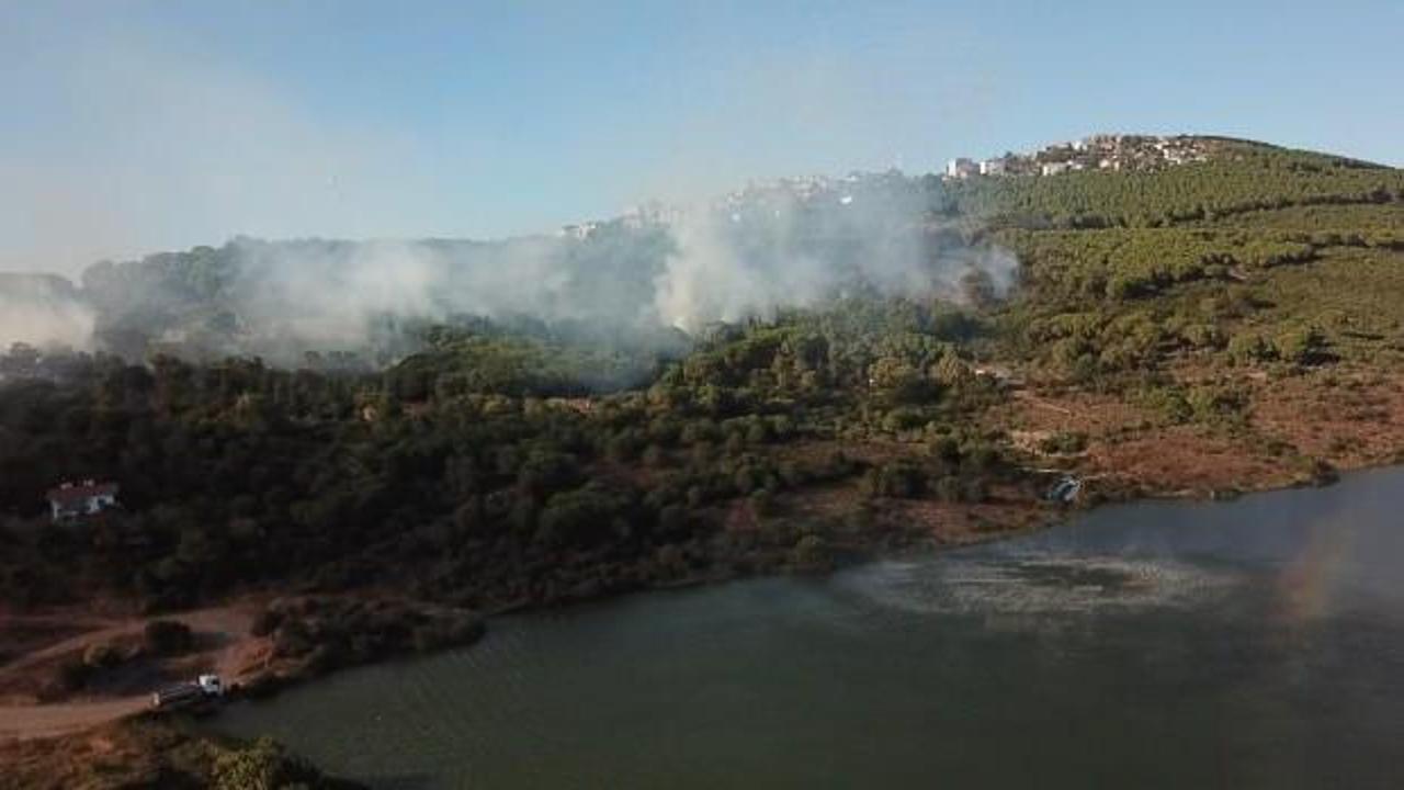 Maltepe'deki orman yangınıyla ilgili 1 kişi gözaltına alındı