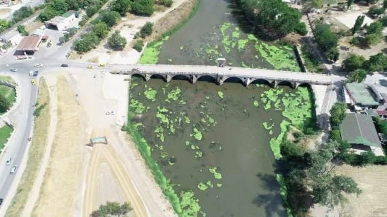 Tunca Nehri&rsquo;nde korkutan g&ouml;r&uuml;nt&uuml;!