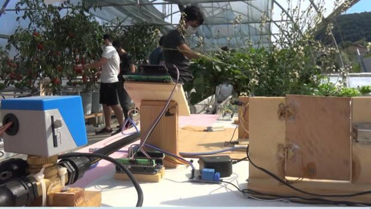 Topraksız serada robotlarla tarım