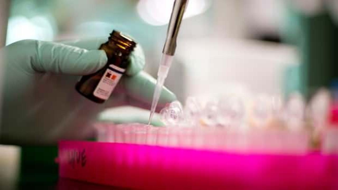Almanya’daki laboratuvarlarda koronavirüs testi alarmı
