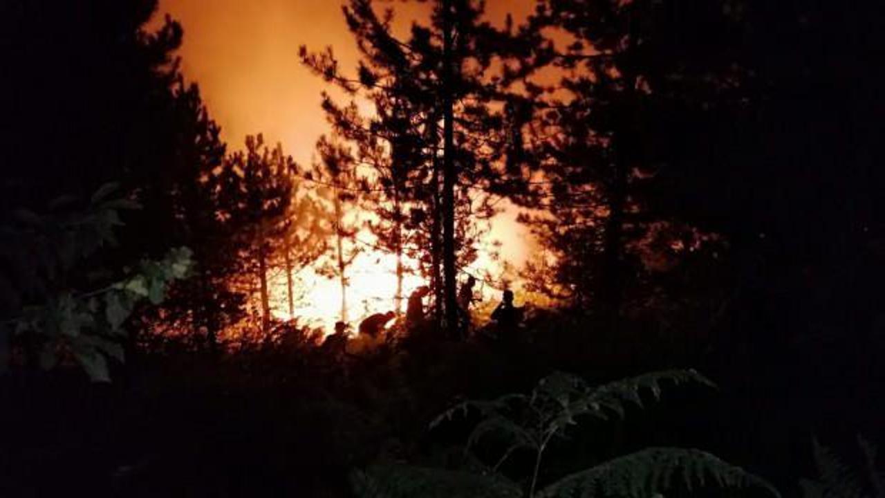Bolu’da orman yangını: Çok sayıda ekip müdahale ediyor 