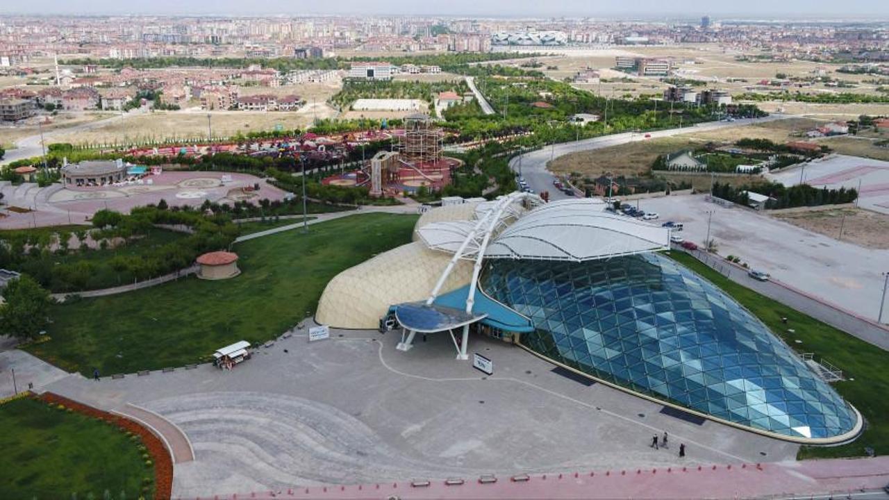 D&uuml;nyanın en b&uuml;y&uuml;k kelebeği T&uuml;rkiye'de 