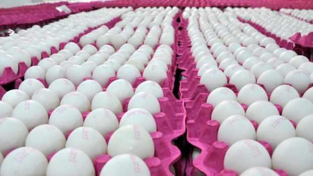 Yumurta üretiminde düşüş