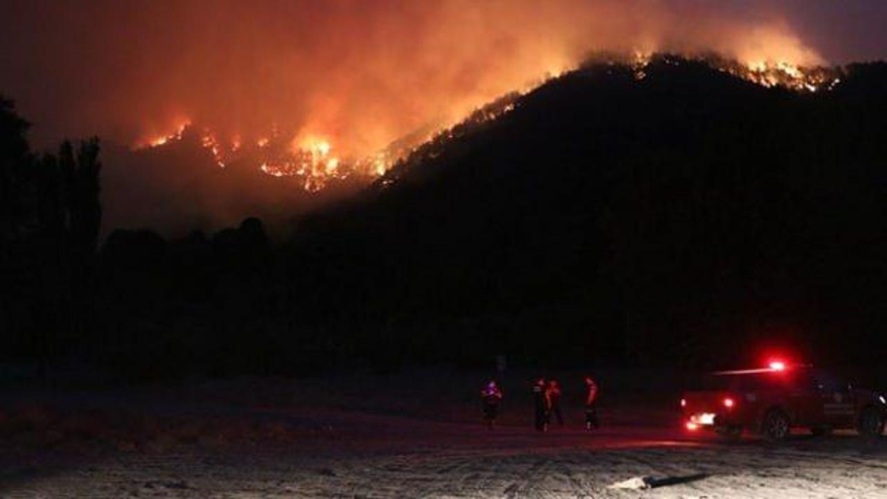 Adana'da orman yangını: Bazı evler tahliye edildi