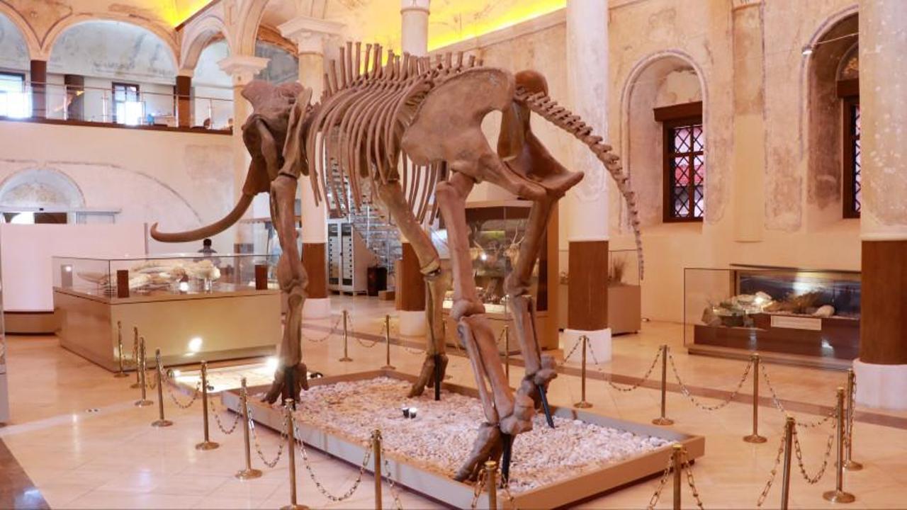 İki milyon yıllık fosiller, Burdur Doğa Tarihi Müzesi'nde sergileniyor