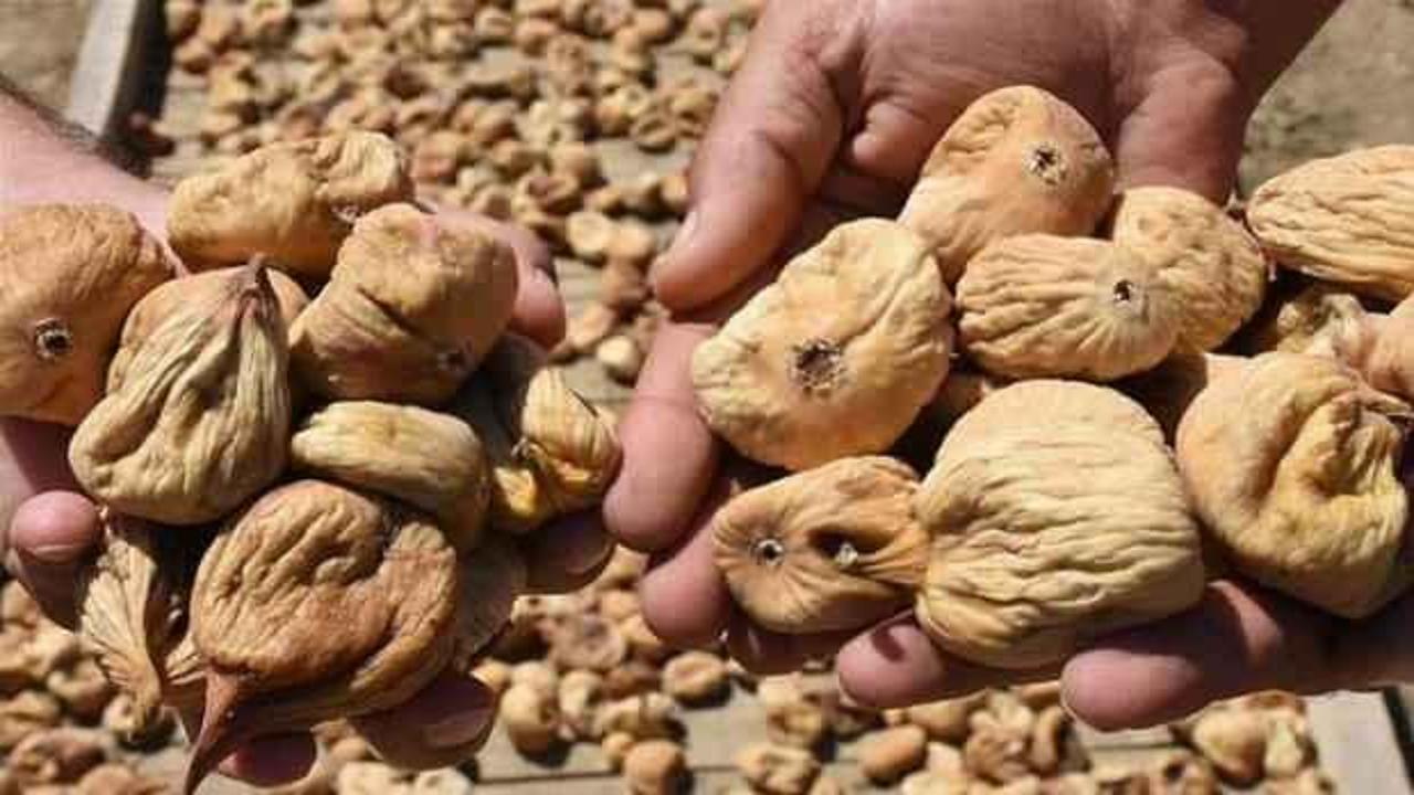 Kuru incirin alım fiyatı yüzde 30 arttı