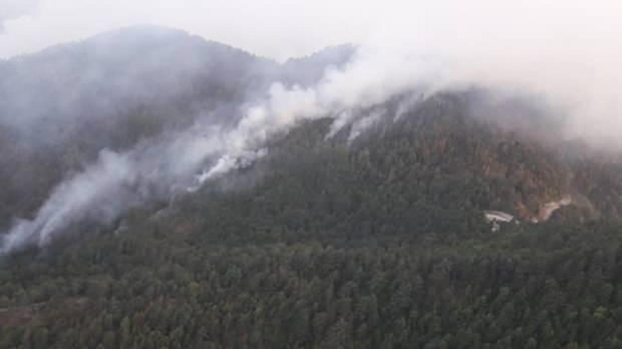 Osmaniye’deki orman yangınını söndürme çalışmaları devam ediyor