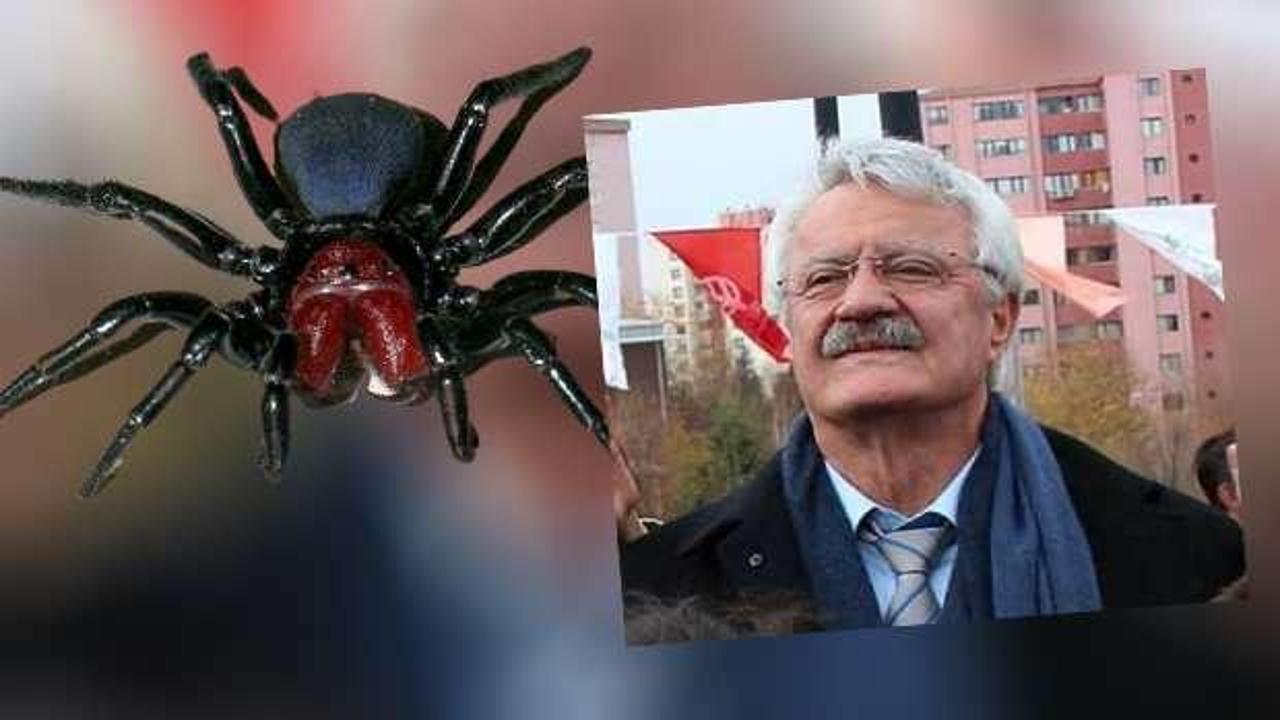 Eski belediye başkanını zehirli örümcek ısırdı